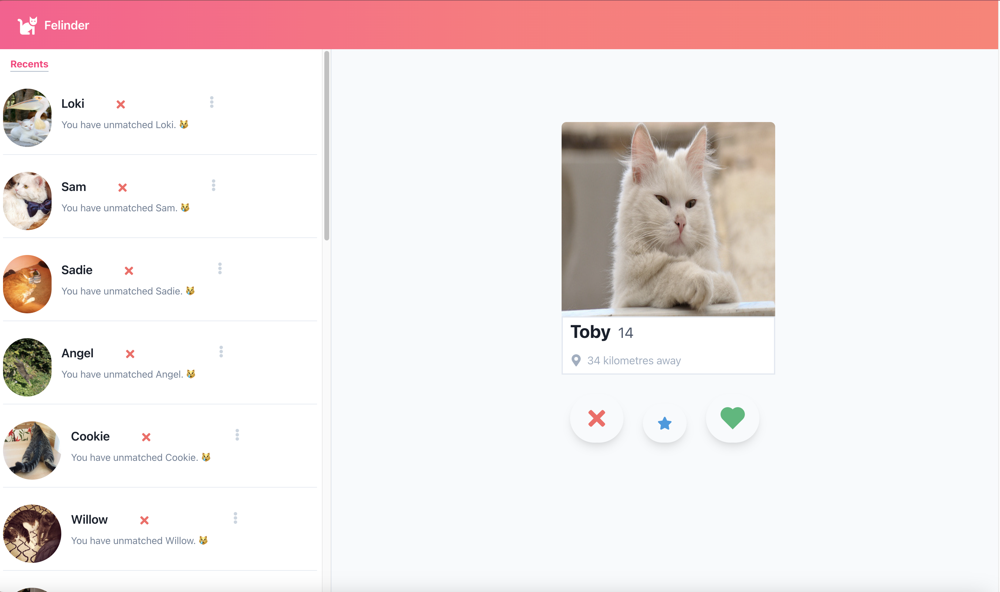 Felinder app first image.